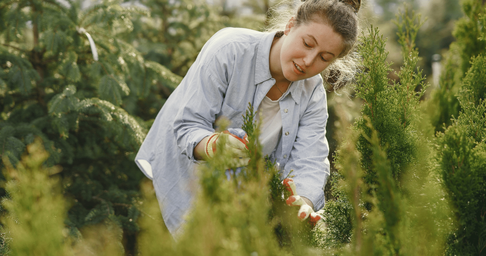 Landscaping and Nursery Services in Hillsboro Village