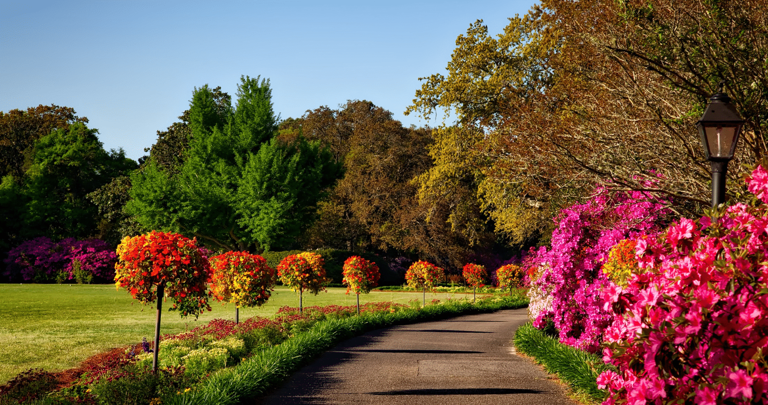 Landscaping and Nursery Services in North Nashville