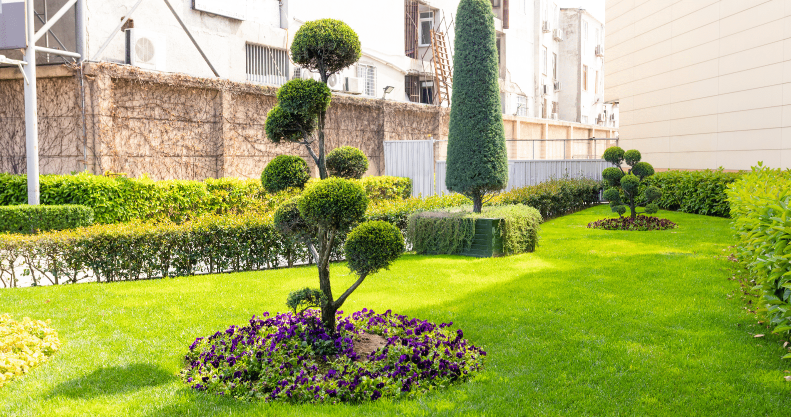 Landscaping and Nursery Services in The Gulch, a close up of a flower garden in front of a building