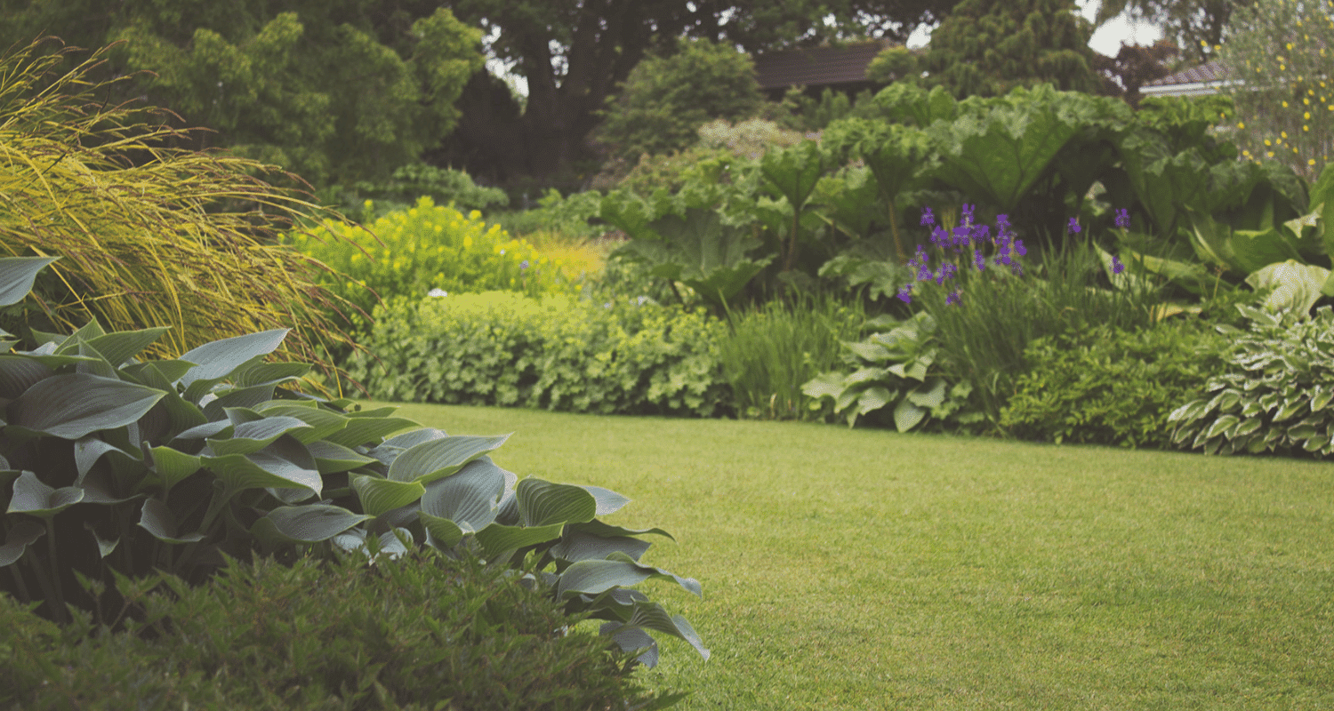 Landscape Design Nashville