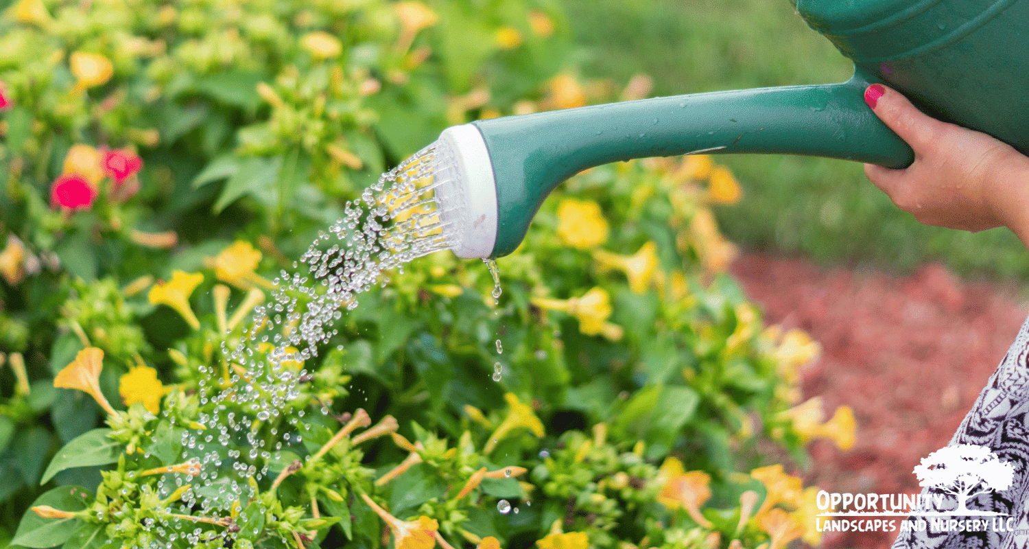 best landscaping plants