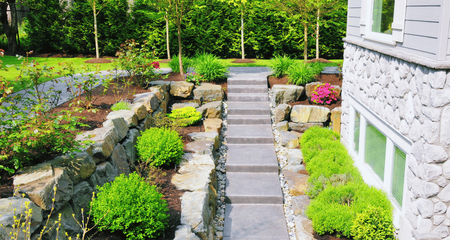 a close up of a flower garden