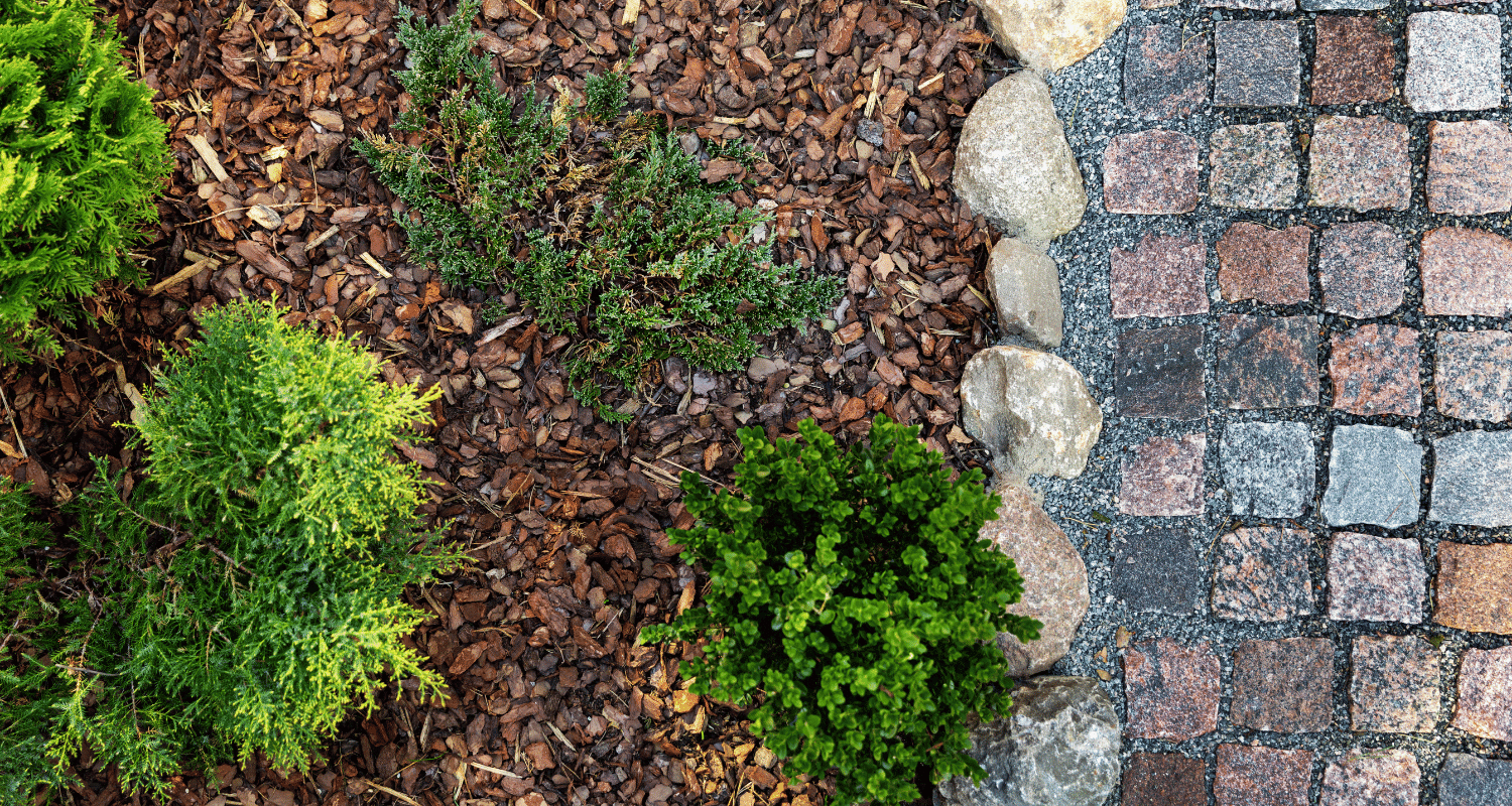 Rocks Vs Mulch For Landscaping