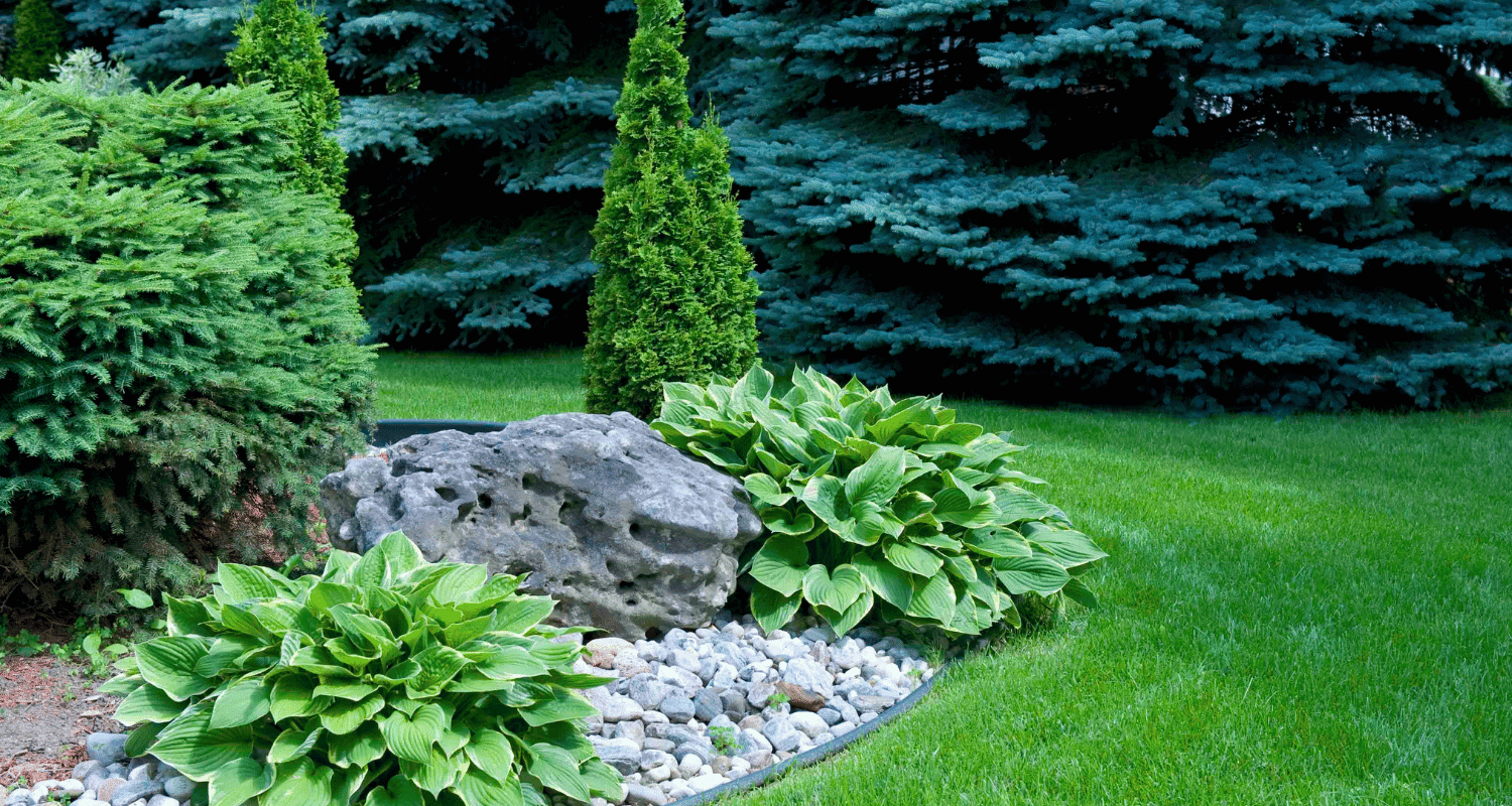 Rocks Vs Mulch For Landscaping