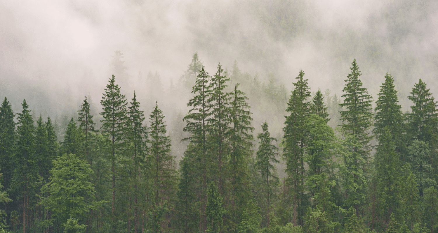 Fast Growing Privacy Trees